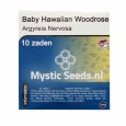 Baby Hawaiian Woodrose Samen